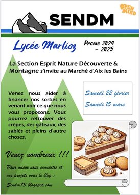 Affiche marché SENDM.jpg